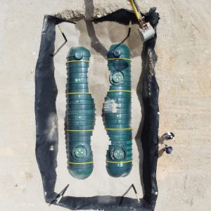 TTW EDS 1_vertical